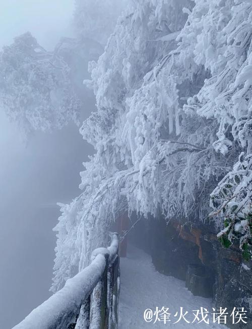 赏雪张家界